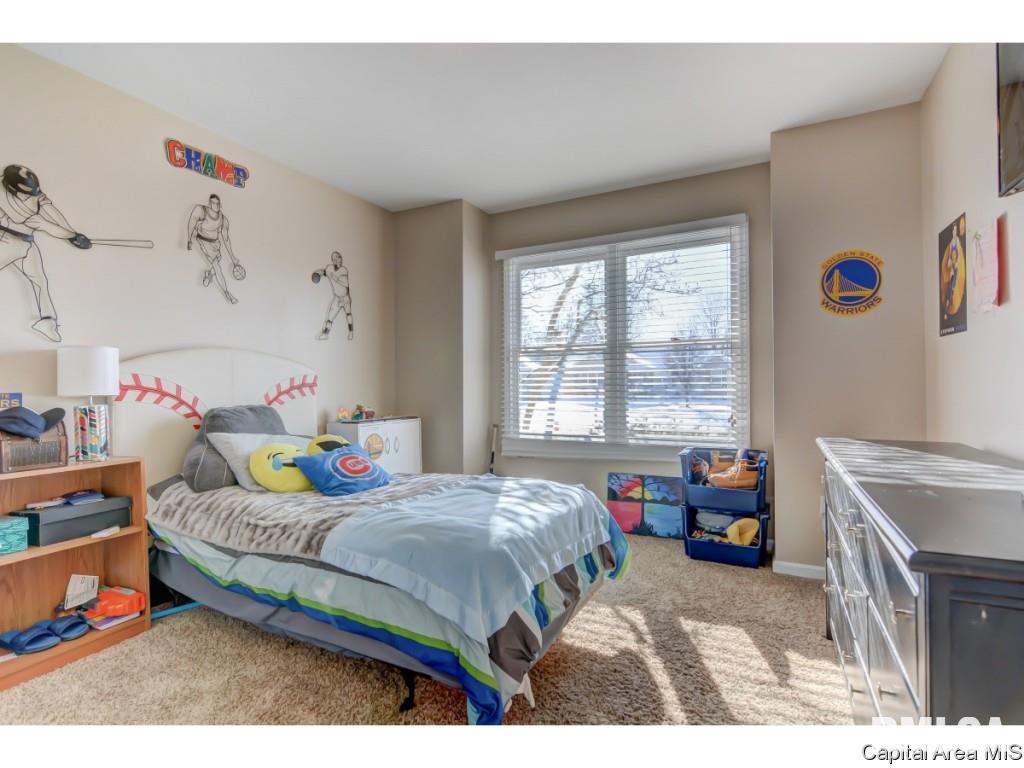 409 Eagle Ridge Drive Chatham, IL 62629 - Photo 21 of 32