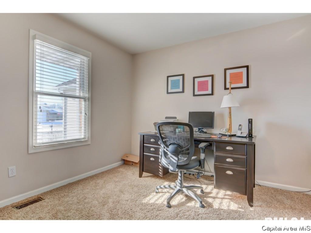 409 Eagle Ridge Drive Chatham, IL 62629 - Photo 23 of 32