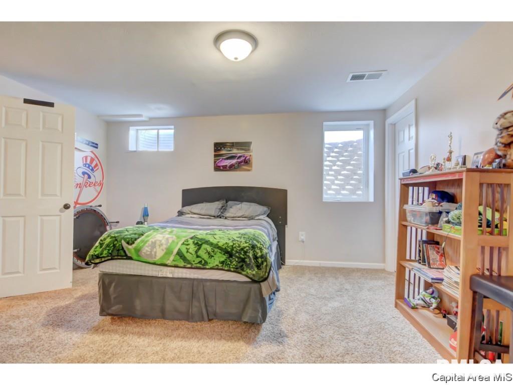 409 Eagle Ridge Drive Chatham, IL 62629 - Photo 25 of 32