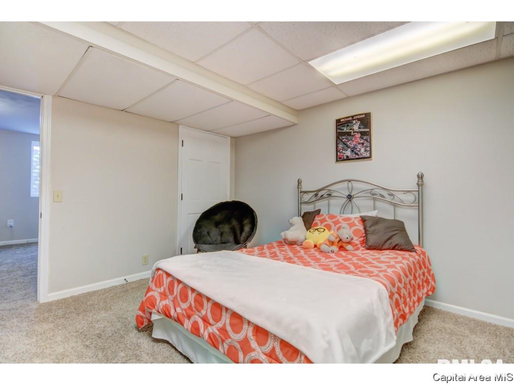 409 Eagle Ridge Drive Chatham, IL 62629 - Photo 26 of 32