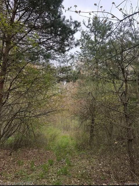 2352 West Mount Morris Road Mount Morris, MI 48458 - Photo 21 of 61 Gallery Image 21