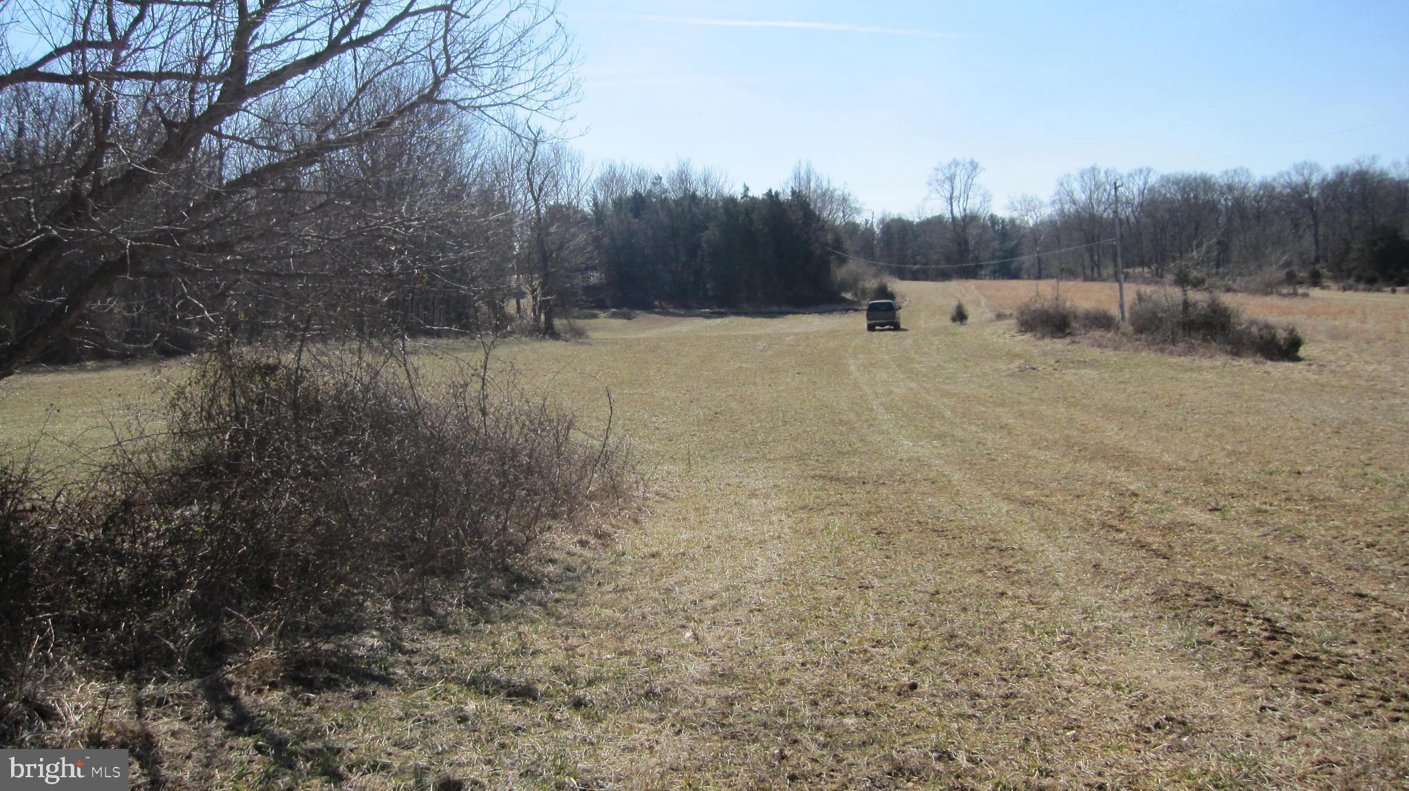 15662 Falling Waters Road, Unit LOTS 2 &3 Williamsport, MD 21795 - Photo 11 of 15 rear field private