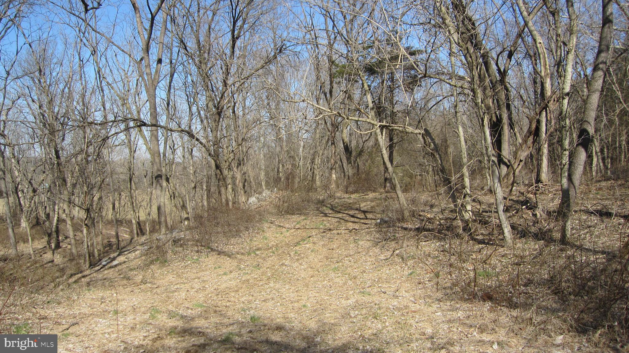 15662 Falling Waters Road, Unit LOTS 2 &3 Williamsport, MD 21795 - Photo 8 of 15 woods