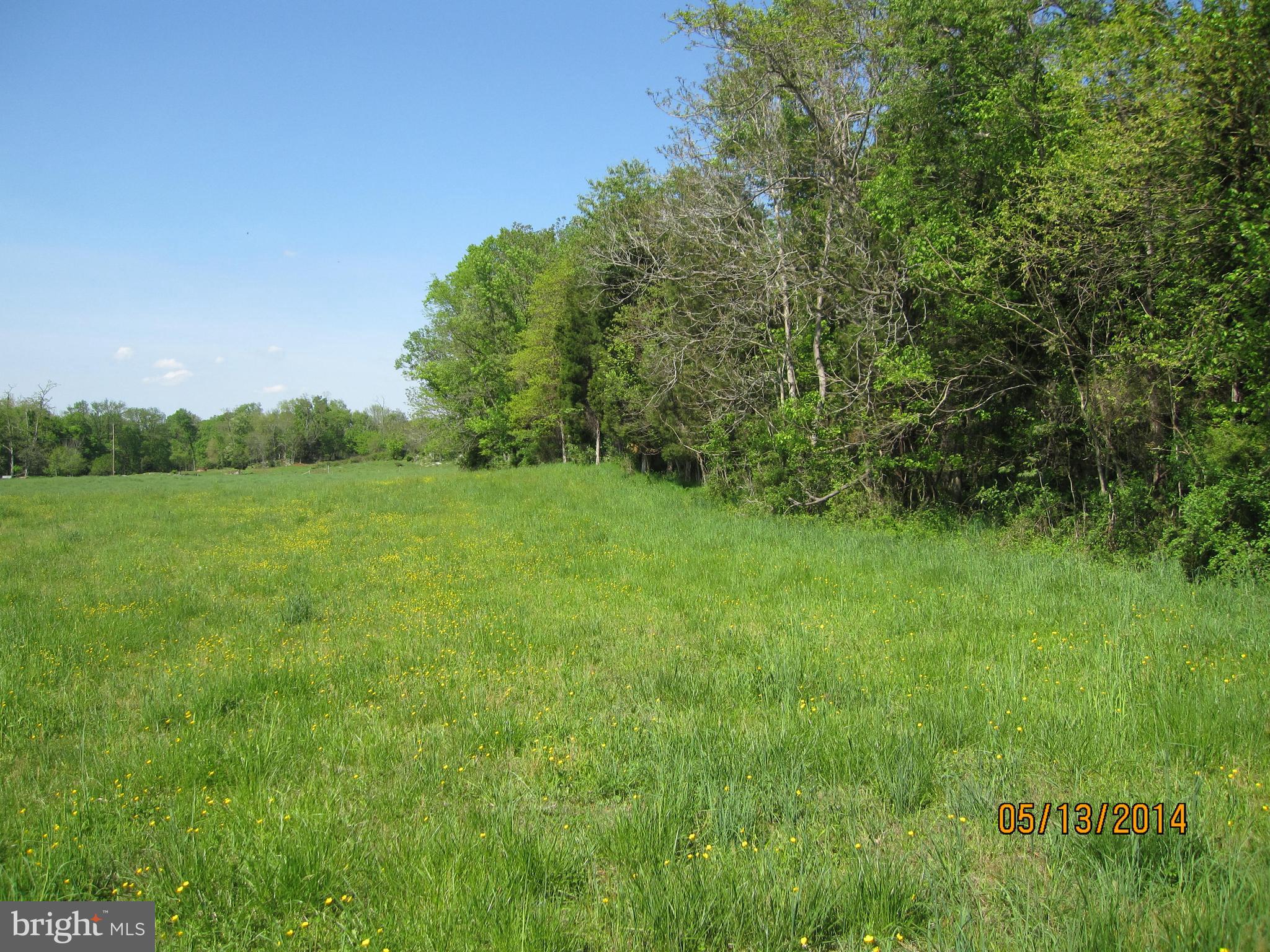 15662 Falling Waters Road, Unit LOTS 2 &3 Williamsport, MD 21795 - Photo 9 of 15 Ag land, rec land usable portion