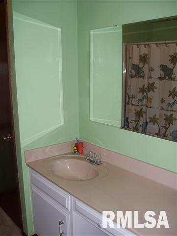 3010 Anderson Road Albany, IL 61230 - Photo 10 of 12