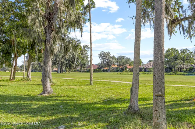 a view of a park with large trees