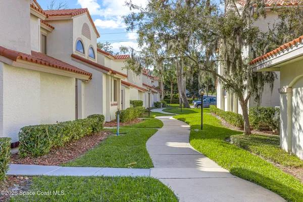 a view of a house with a small yard plants and a large tree