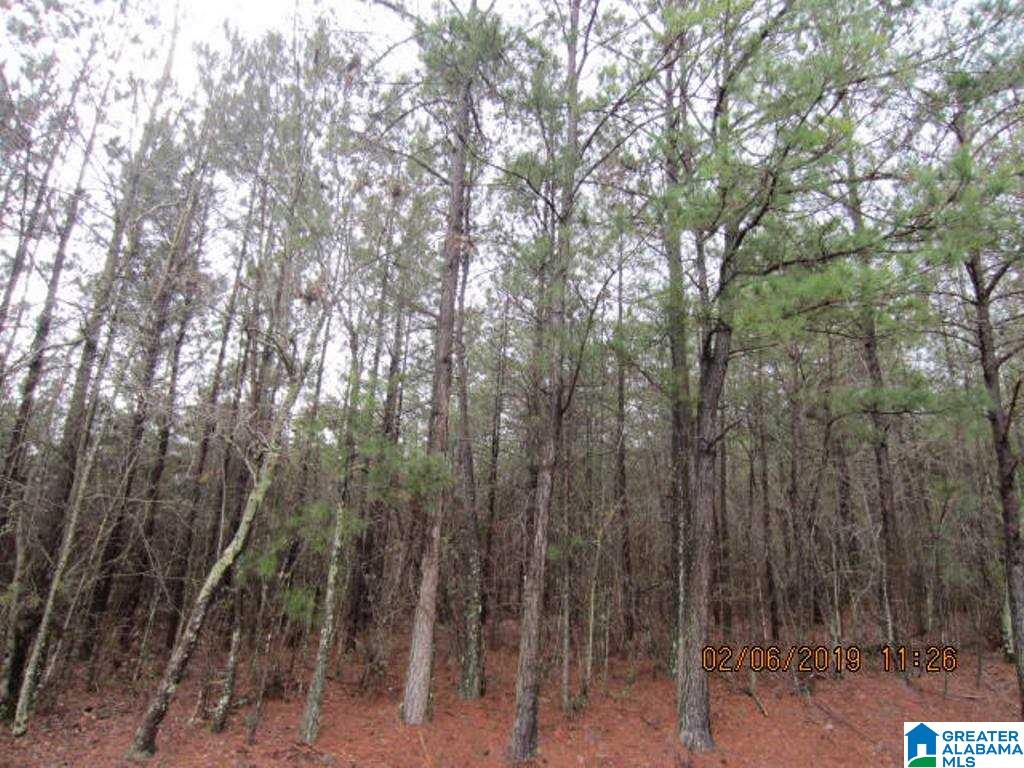 Hurricane Road, Unit 96 Lineville, AL 36266 - Photo 6 of 11