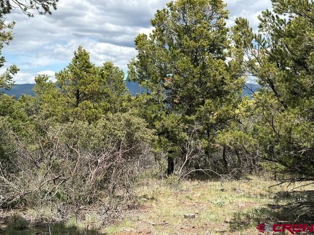 Lot 4 Tower Road Ridgway, CO 81432 - Photo 10 of 14