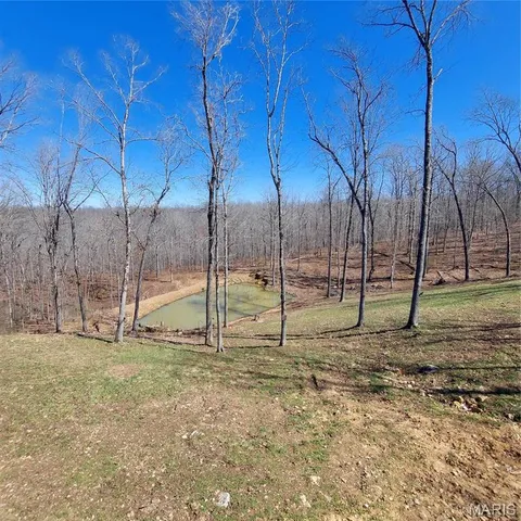 $299,900 | 1432 Wayne 523, Wappapello, MO 63966