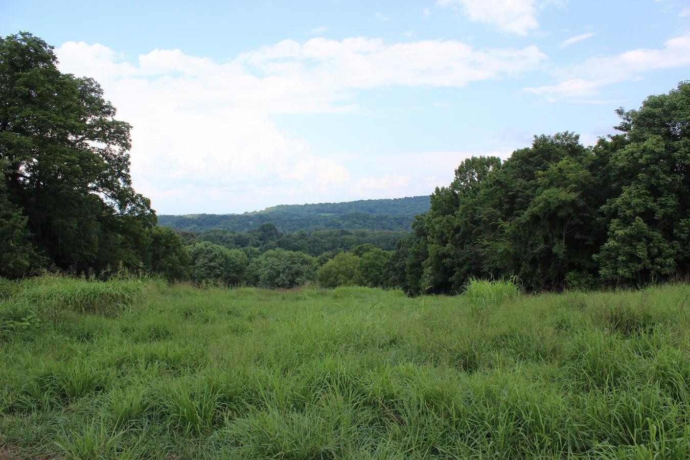 2594 Graham Road Culleoka, TN 38451 - Photo 7 of 24 These amazing views are looking all of the way to Lewisburg TN!