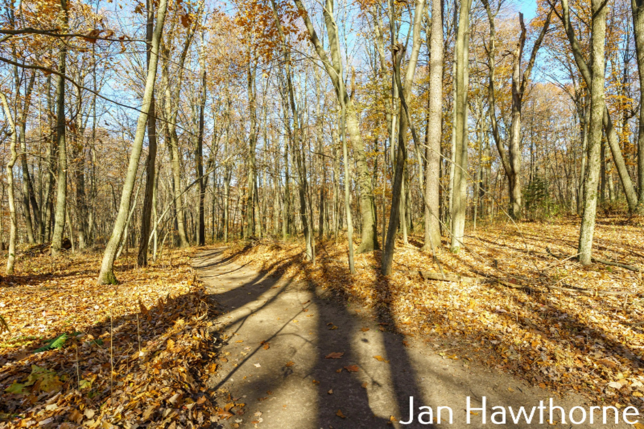 1500 Hubble Road Hastings, MI 49058 - Photo 51 of 87 Hubble_Rd_1500_Hastings_49058-26