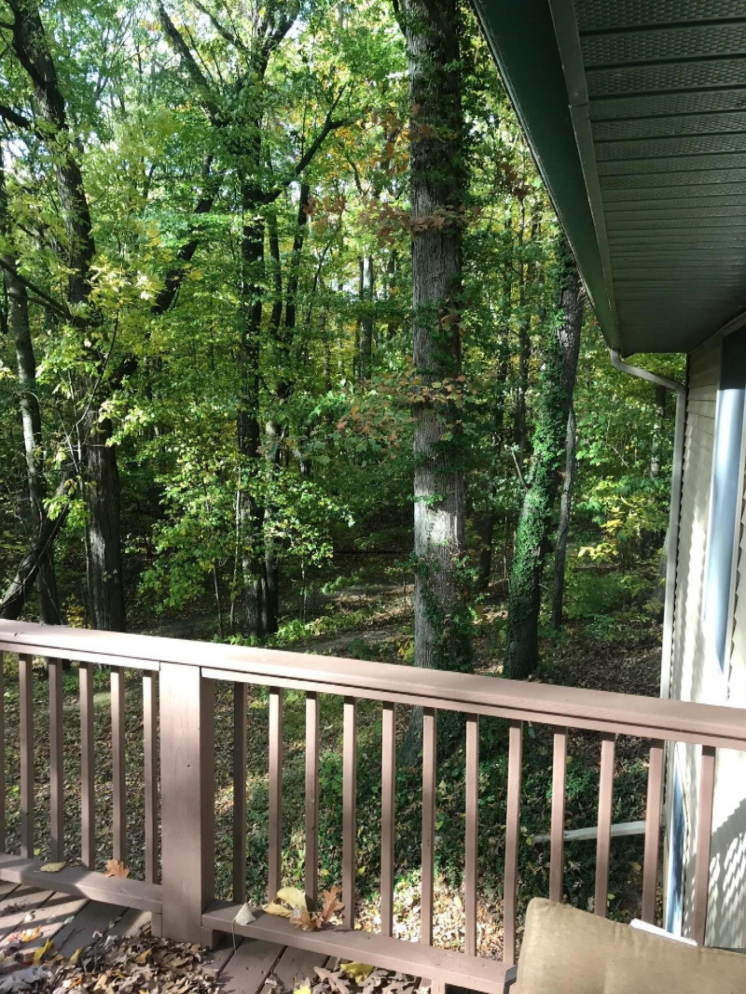 1500 Hubble Road Hastings, MI 49058 - Photo 54 of 87 image3