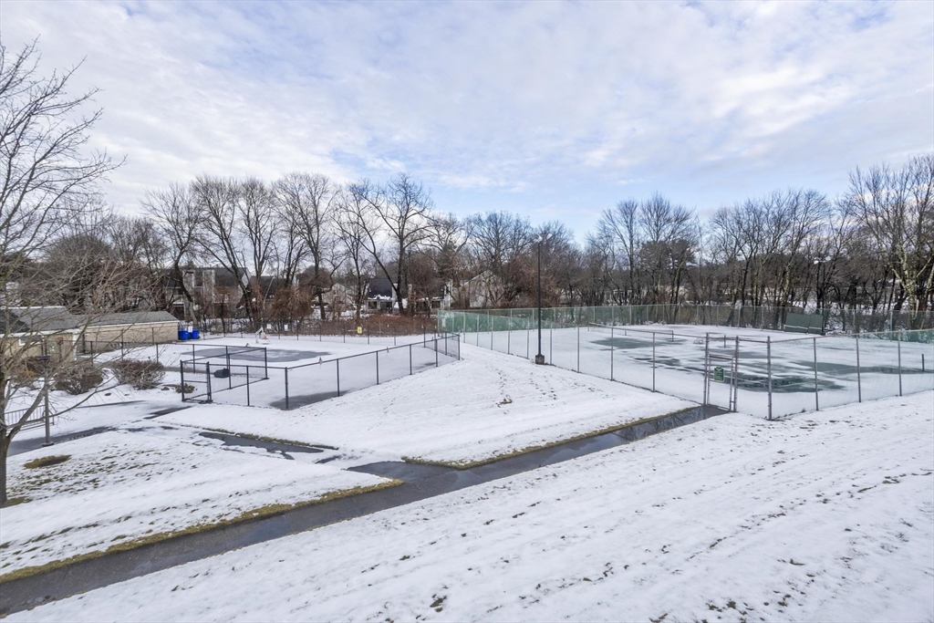 169 Nassau Drive, Unit 169 Springfield, MA 01129 - Photo 26 of 31 a view of a backyard