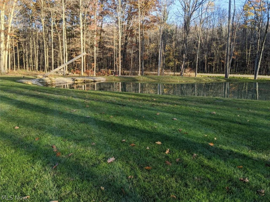 12464 Hotchkiss Road Burton, OH 44021 - Photo 30 of 35 Pond View - Even Such Detail Included with the Installation of this Pond! Pond Stocked Just Last Year and is 10-12' at Its Deepest Point.