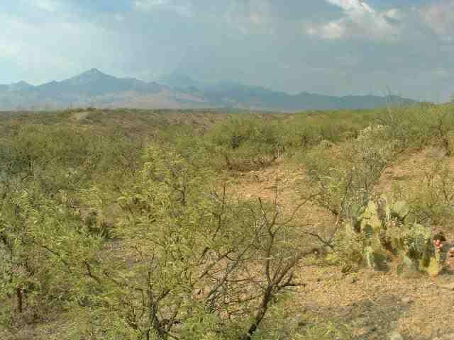 Tbd Tbd Circulo Frutas Rio Rico, AZ 85648 - Photo 1 of 1