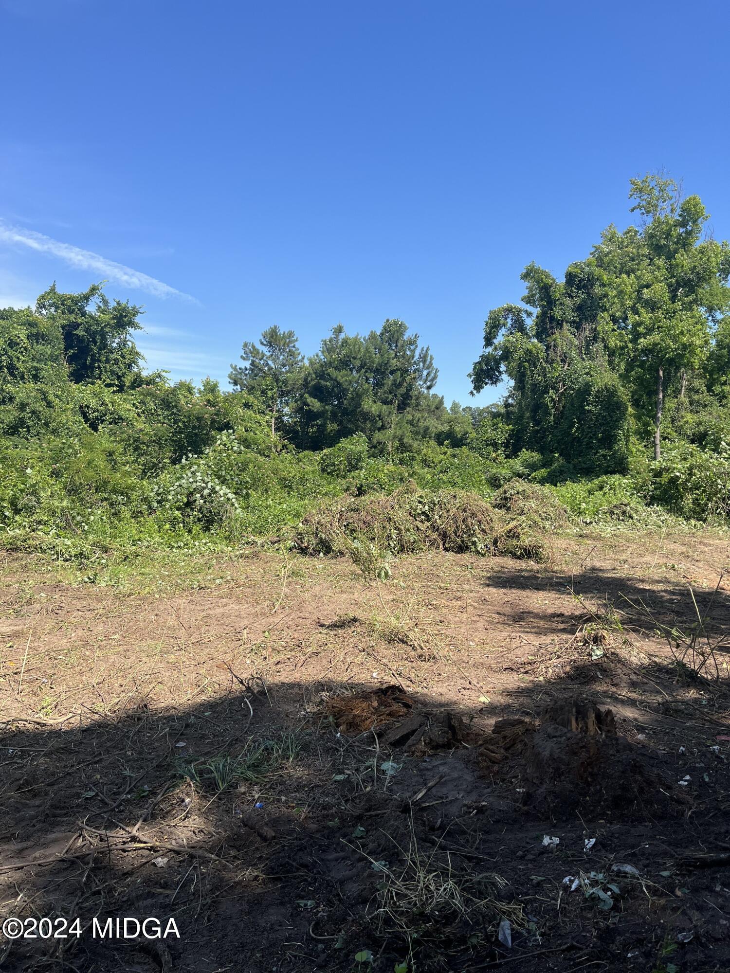 4506 Ebenezer Church Road Macon, GA 31210 - Photo 2 of 3 a view of a road with a yard