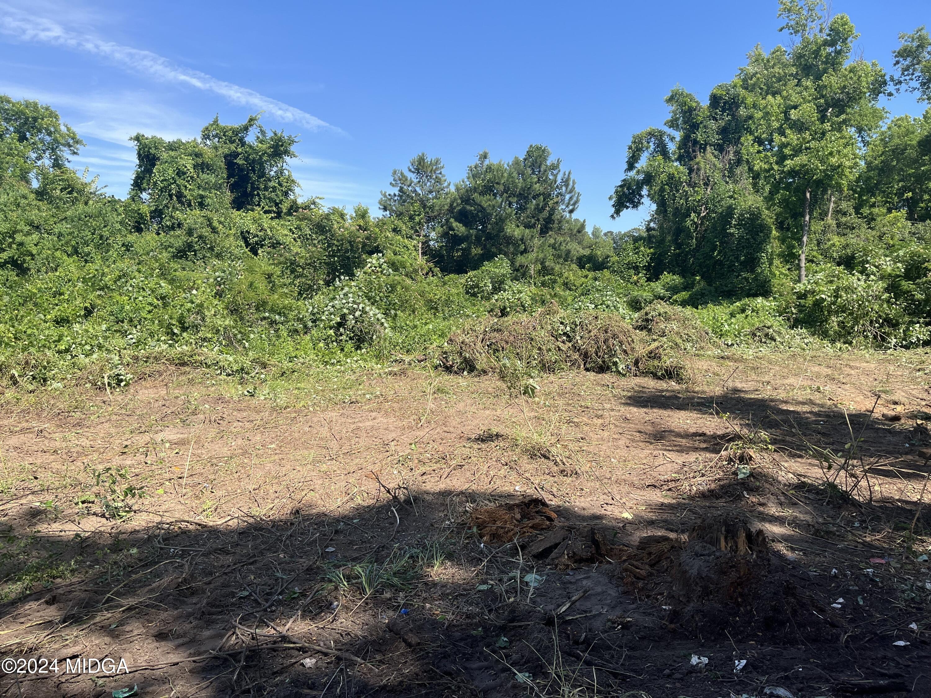 4506 Ebenezer Church Road Macon, GA 31210 - Photo 3 of 3 a view of a road with a yard