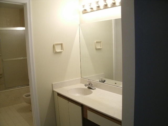 23032 Island View, Unit C Boca Raton, FL 33433 - Photo 14 of 18 Master Bath ssink