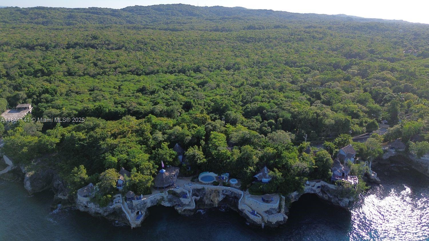 144 One Love Drive undefined, - 00000 - Photo 17 of 34 a view of a lot of trees in a field
