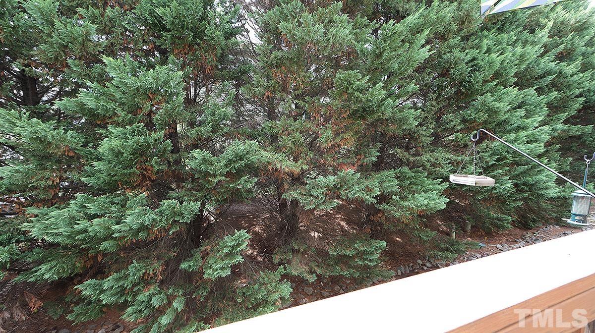 7225 Galon Glen Road Raleigh, NC 27613 - Photo 20 of 20 a view of a yard