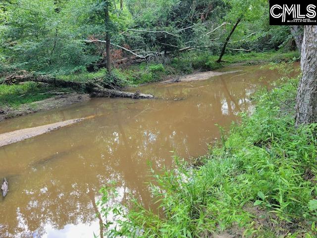 317 Horse Cove Road Gilbert, SC 29054 - Photo 40 of 93