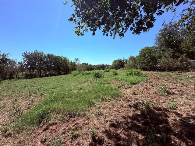 a view of a field with plants and large trees