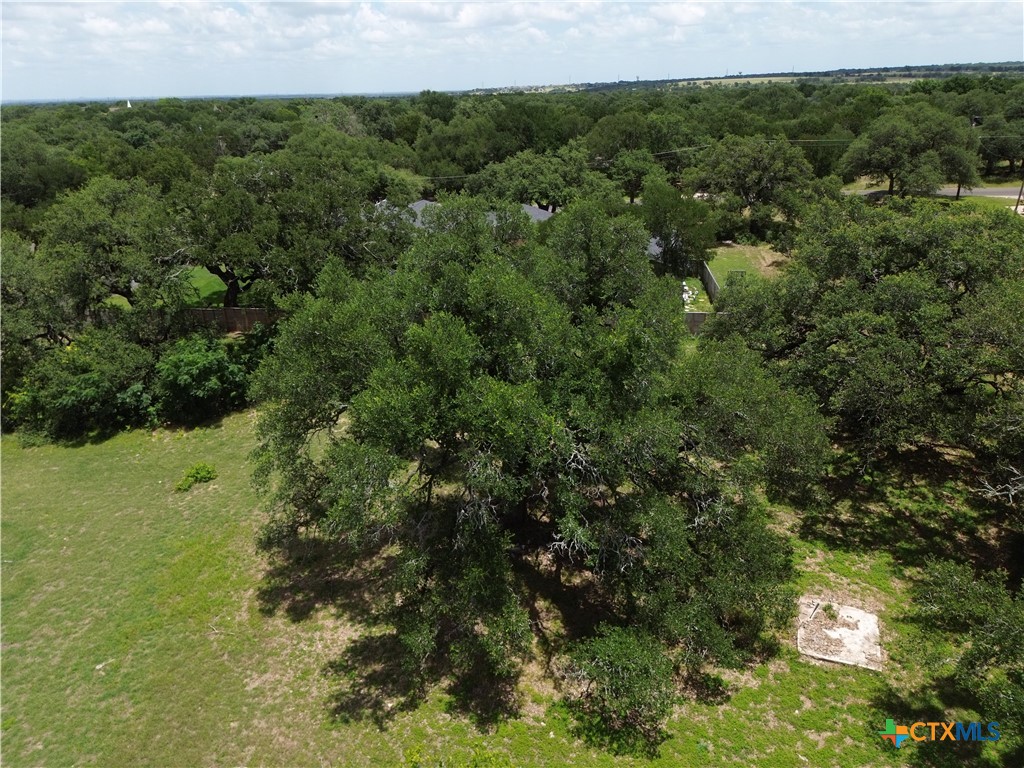 731 Santa Maria Road Salado, TX 76571 - Photo 6 of 15