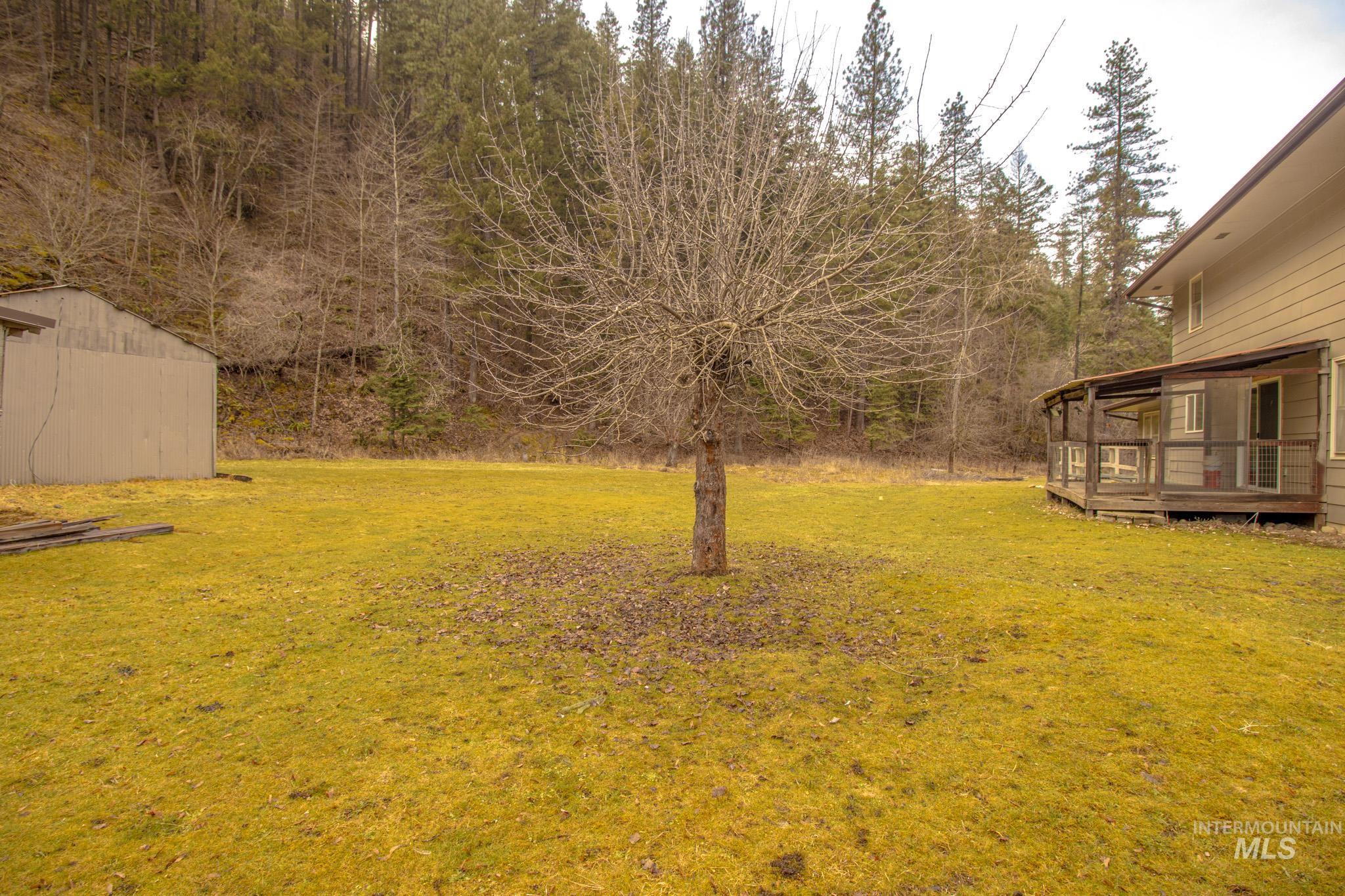 404 Harmony Heights Road Orofino, ID 83544 - Photo 34 of 35 View of green lawn with a storage shed and a wooden deck