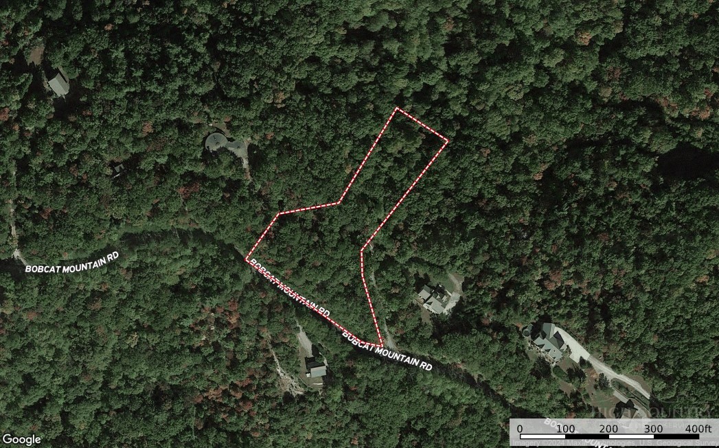 Lot 21 Bobcat Mountain Road Purlear, NC 28665 - Photo 7 of 46 a view of a yard with a tree