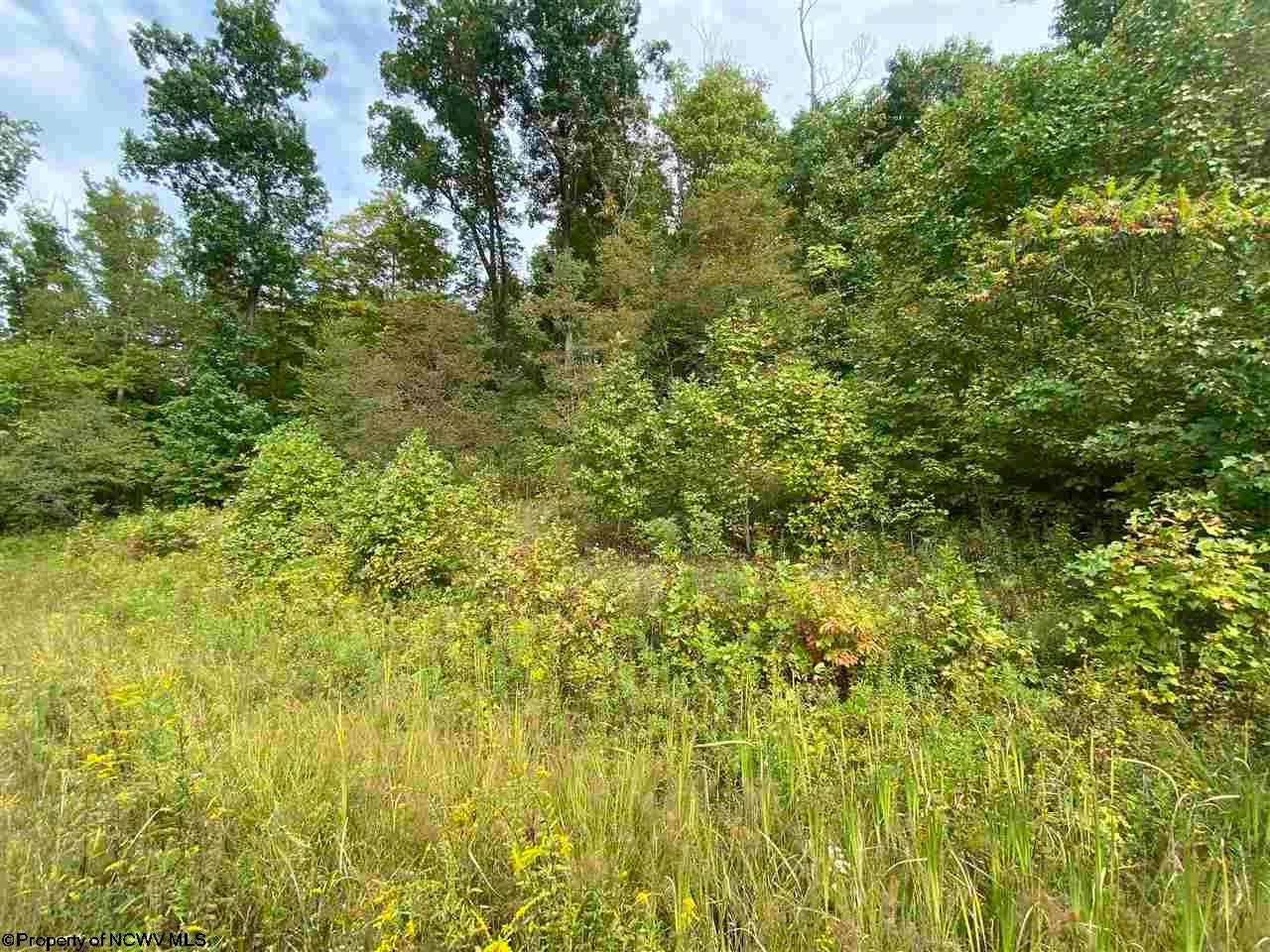 Tbd Helens Run Road Worthington, WV 26591 - Photo 6 of 18 Gallery Image 6