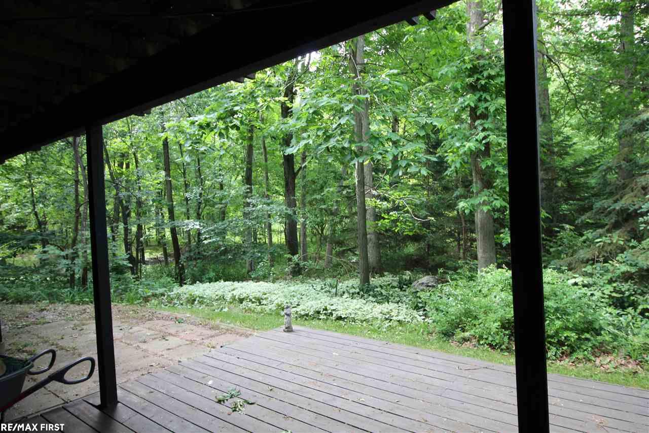 3175 Ray Road Oxford, MI 48370 - Photo 13 of 28 YARD FROM LOWER LEVEL