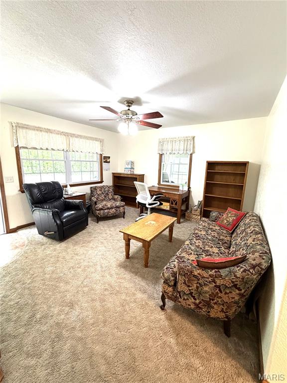 2864 Spring Valley Road Summersville, MO 65571 - Photo 7 of 36