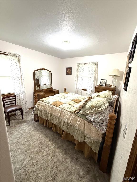2864 Spring Valley Road Summersville, MO 65571 - Photo 8 of 36