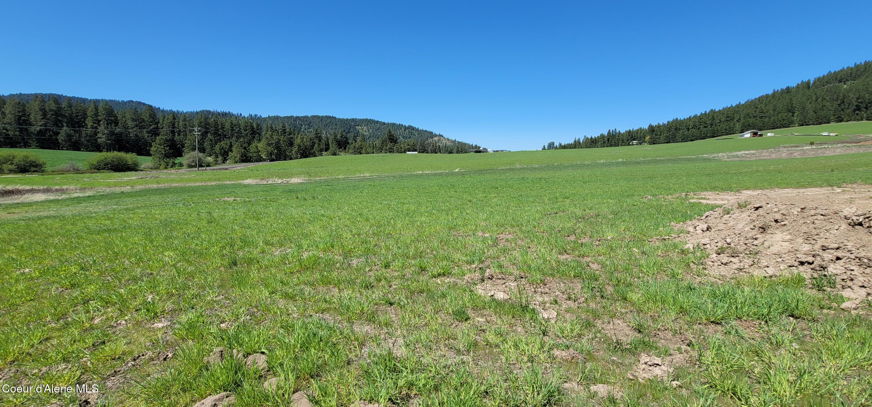 Sunny Slopes Road Worley, ID 83876 - Photo 7 of 16 NE Looking North