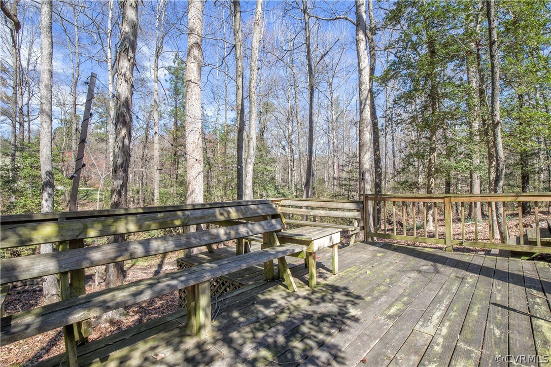 5907 Moss Creek Road Midlothian, VA 23112 - Photo 27 of 33 Gallery Image 27