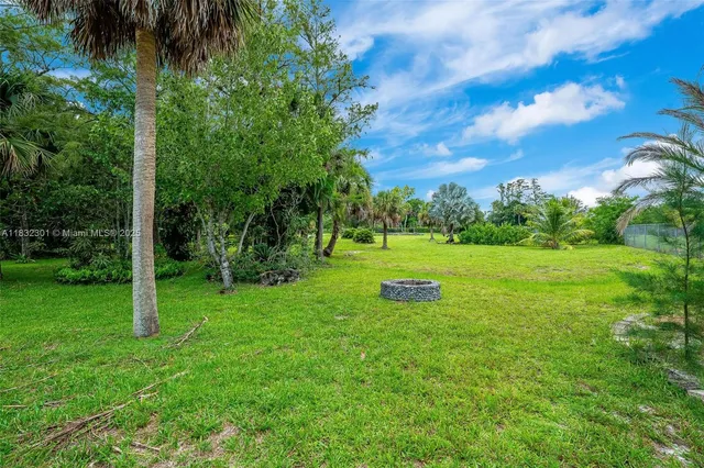 a view of a garden with a tree