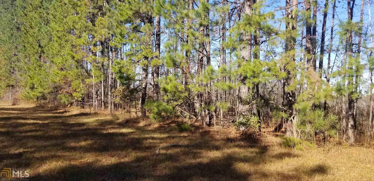 0 Fortville Road Gray, GA 31033 - Photo 1 of 1