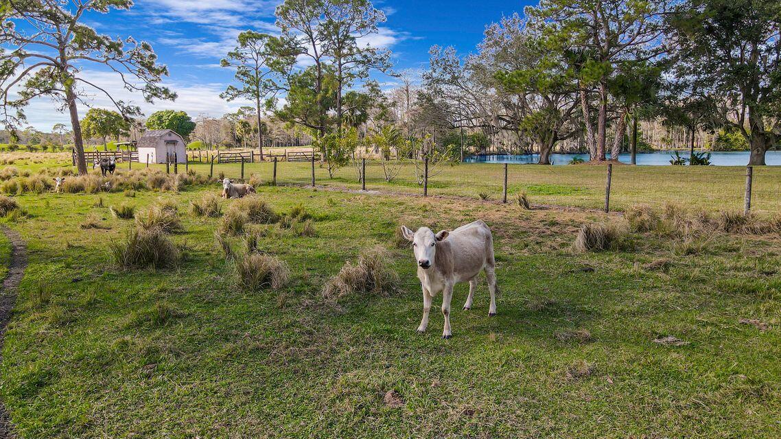 19900 Mack Dairy Road Jupiter, FL 33478 - Photo 5 of 11 a view of a park