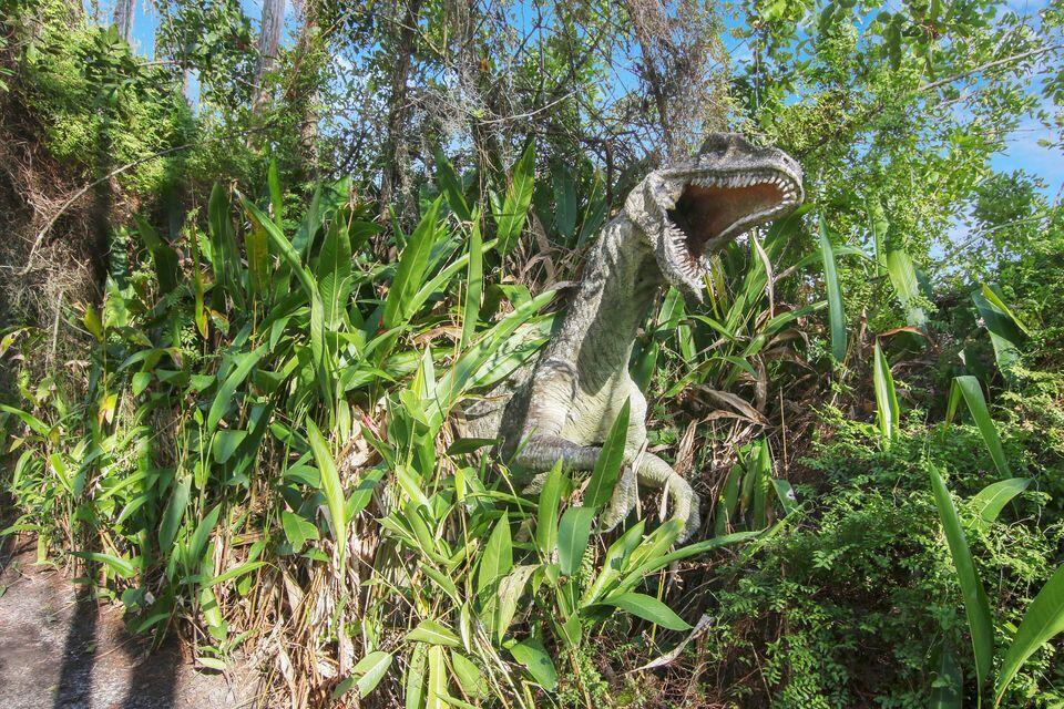 19900 Mack Dairy Road Jupiter, FL 33478 - Photo 7 of 11 a close up of a plant in a garden