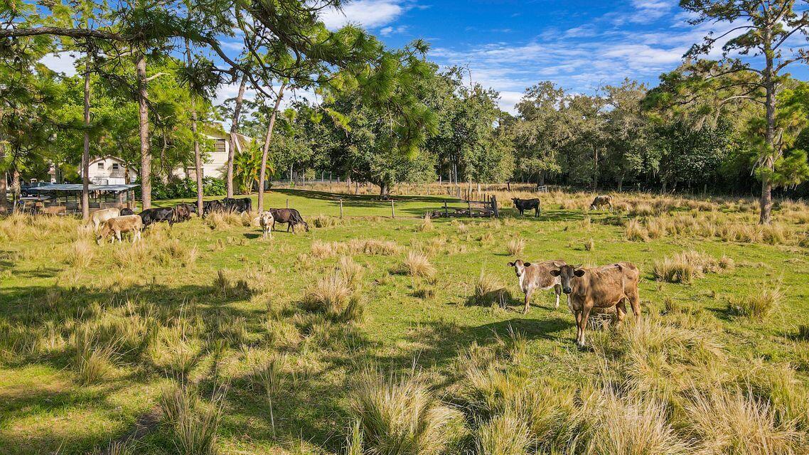 19900 Mack Dairy Road Jupiter, FL 33478 - Photo 8 of 11 a view of a swimming pool with an outdoor space and seating area