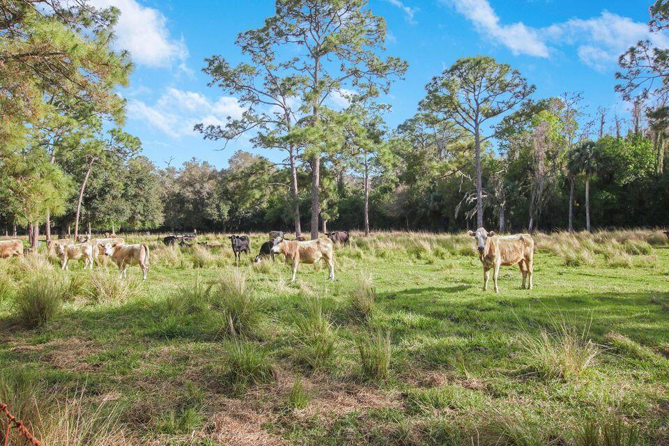 19900 Mack Dairy Road Jupiter, FL 33478 - Photo 9 of 11 a view of a garden