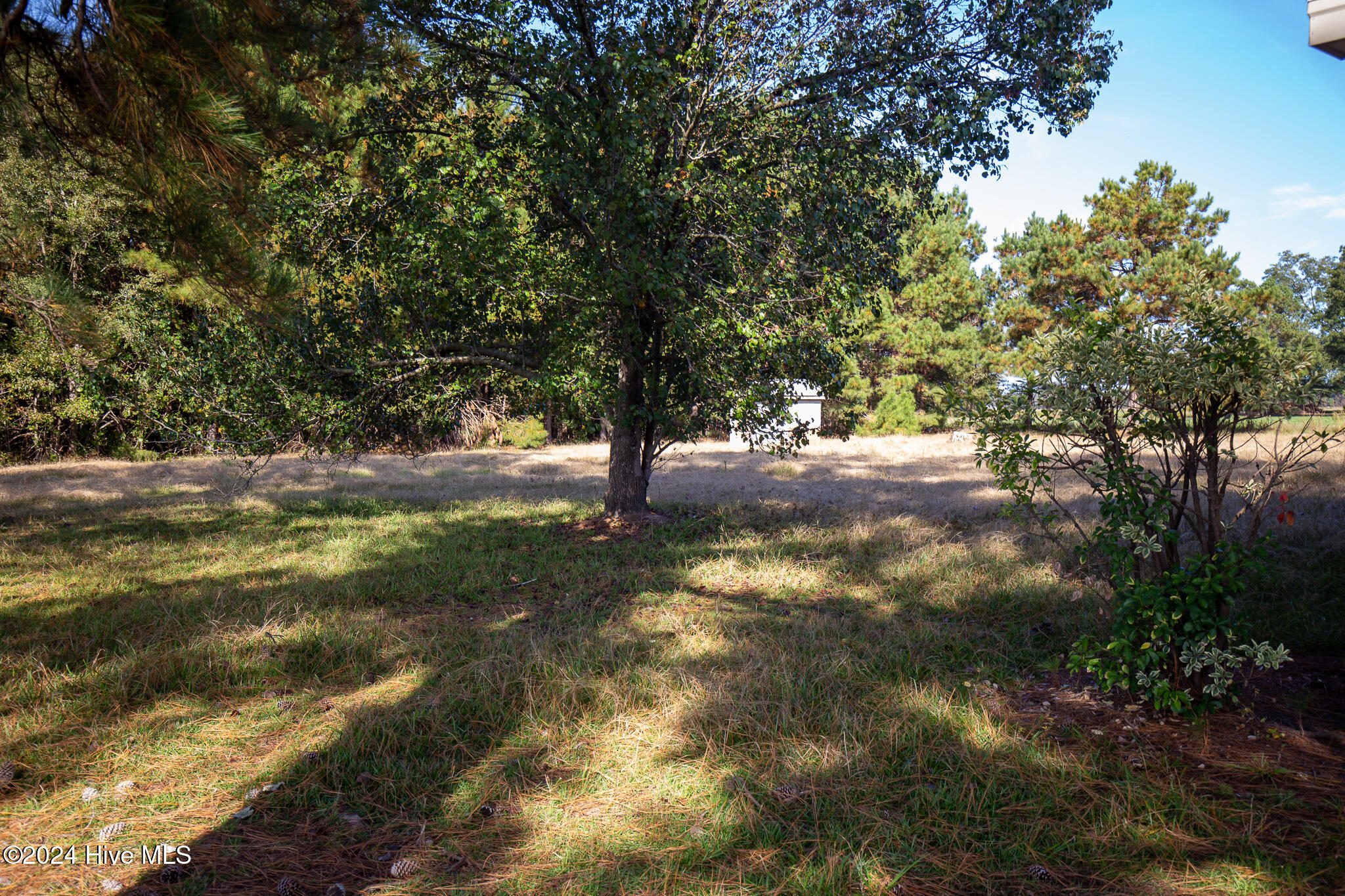 865 Silver Spoon Road Evergreen, NC 28438 - Photo 25 of 33 silver backyard