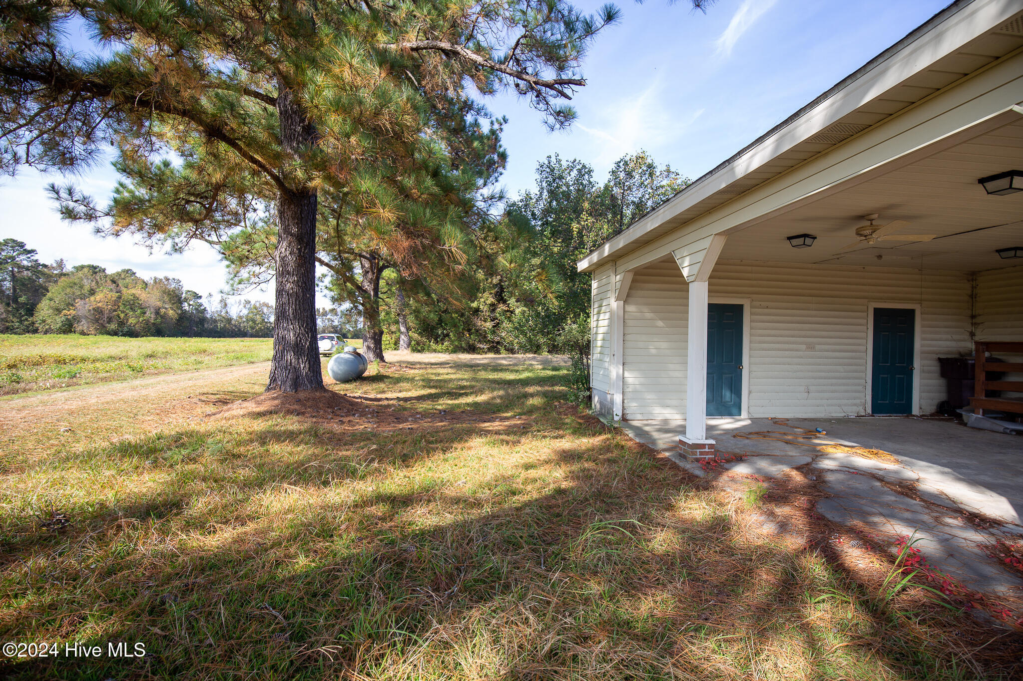 865 Silver Spoon Road Evergreen, NC 28438 - Photo 28 of 33 silver lt side 3