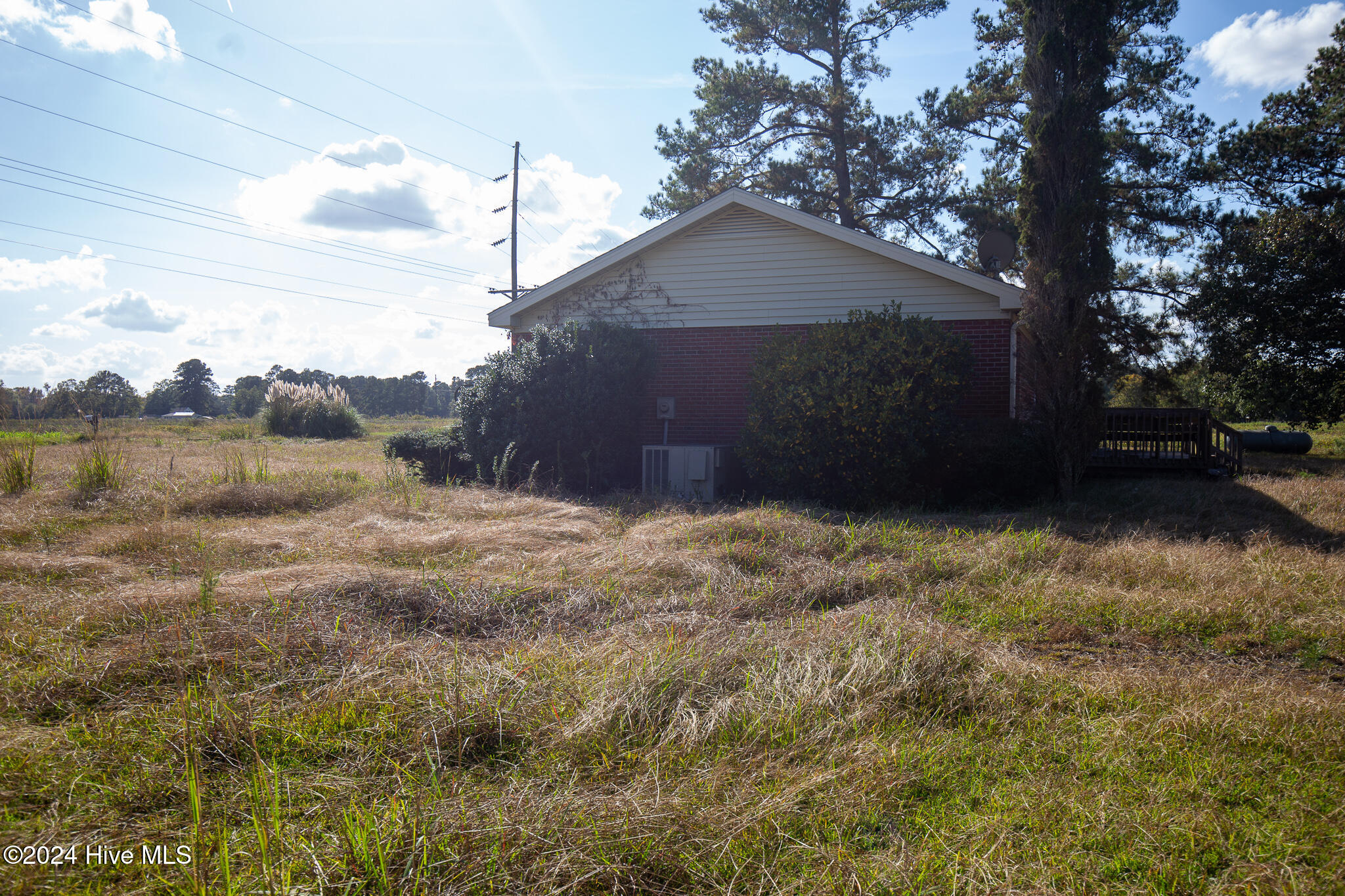 865 Silver Spoon Road Evergreen, NC 28438 - Photo 30 of 33 silver right side1 - Copy