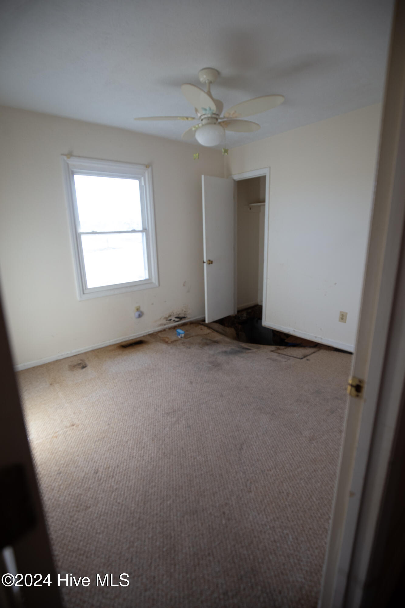 865 Silver Spoon Road Evergreen, NC 28438 - Photo 7 of 33 evergreen bed2