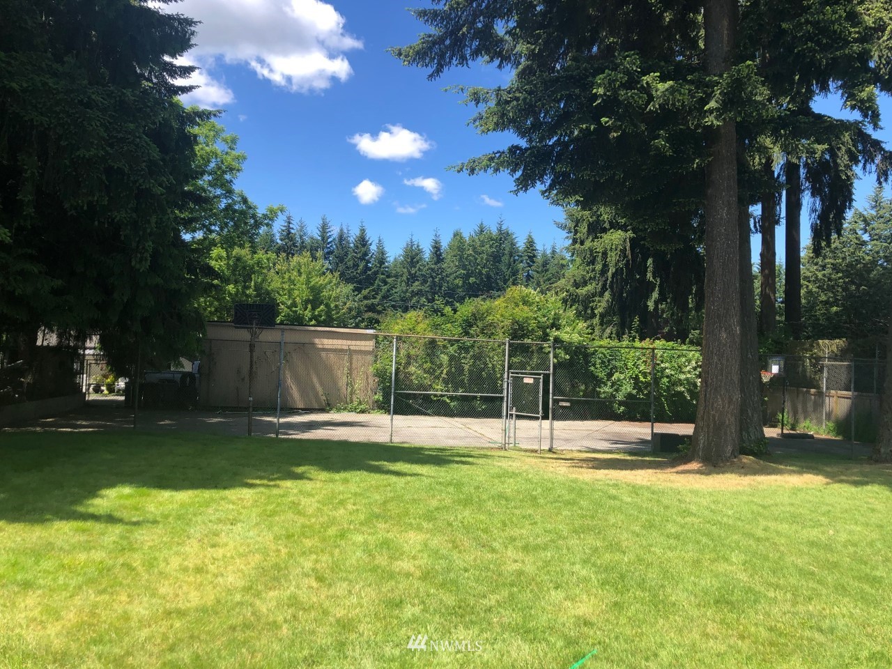 3408 206th Place Southeast Bothell, WA 98012 - Photo 24 of 26 a backyard of a house with lots of green space and fountain