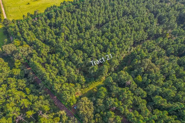 $600,000 | 21 County Road 4224, Frankston, TX 75763
