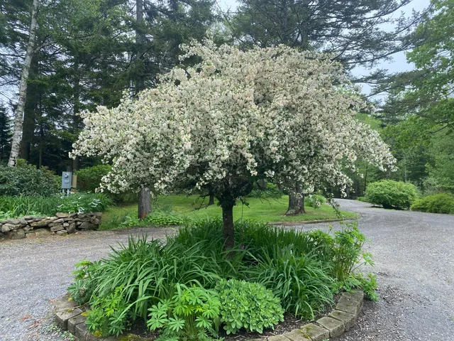 $1,699,000 | 33-30 Taylor Road, Westport Island, ME 04578