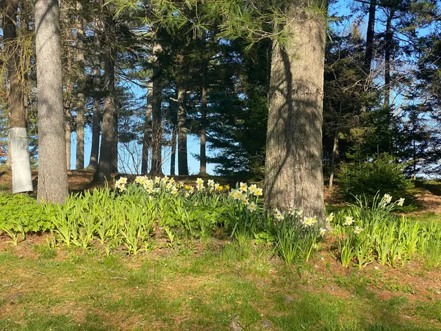 $1,699,000 | 33-30 Taylor Road, Westport Island, ME 04578